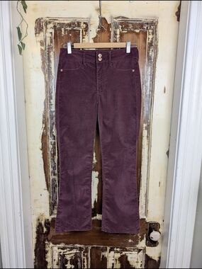Abercrombie & Fitch Burgundy Velvet High Rise Ankle Flare Pants 26 Retro